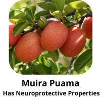 Muira Puama Has neuroprotective properties